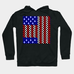 US flag houndstooth Hoodie